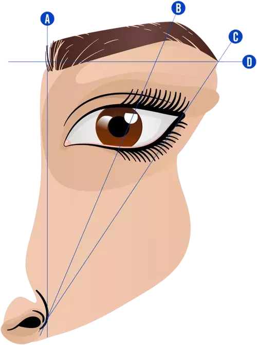 Second day practical application